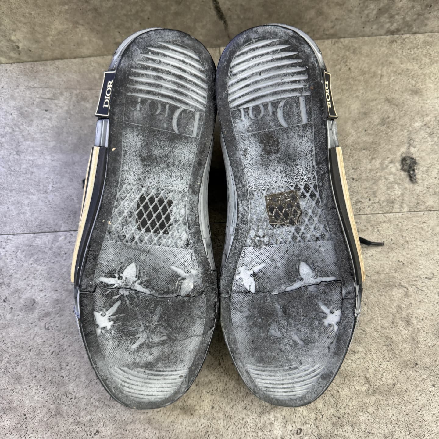 dior-sole before