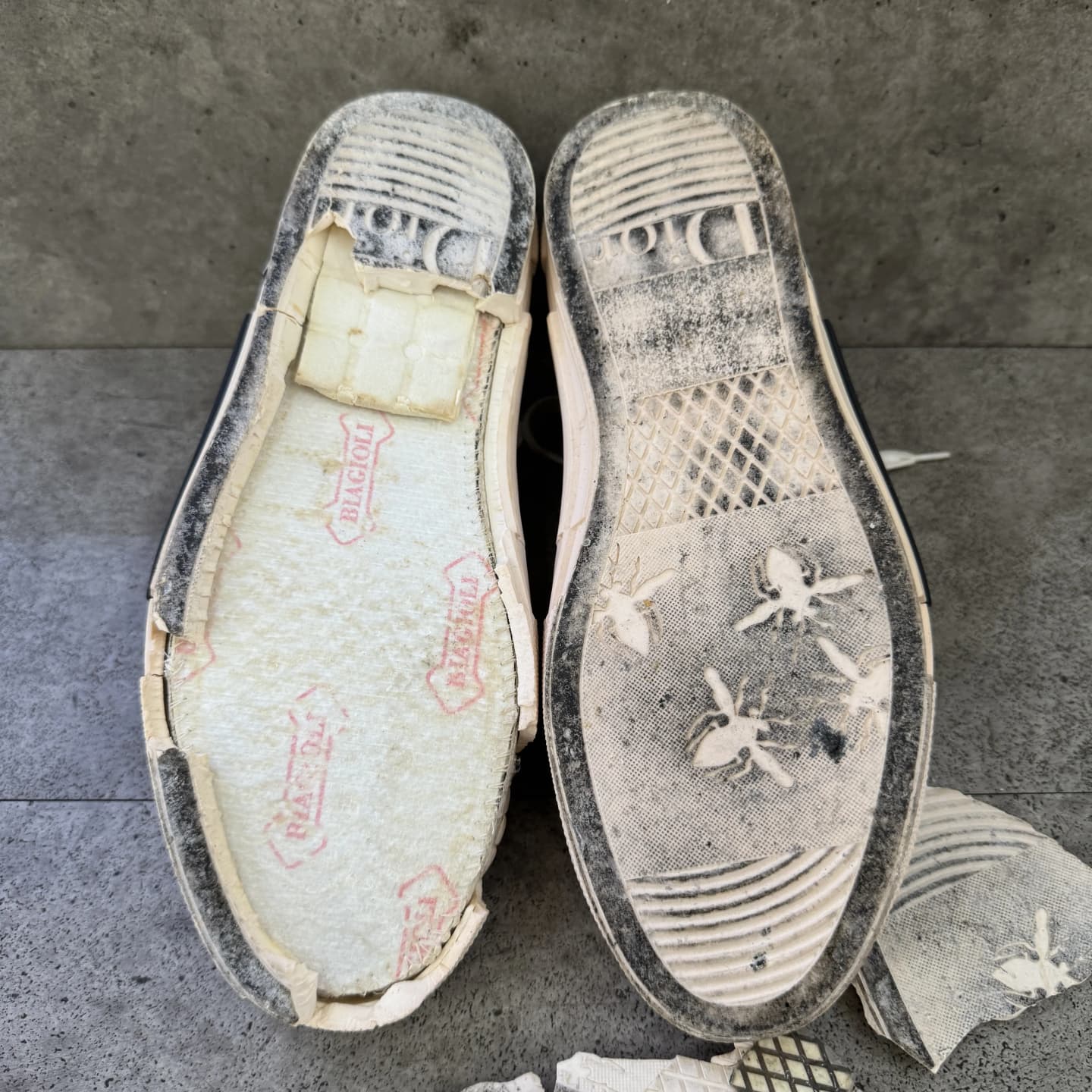 dior-sole before