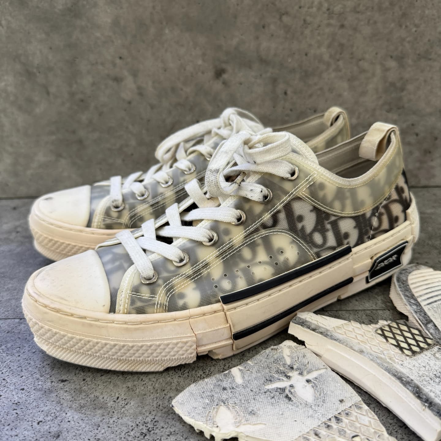 dior-sole before