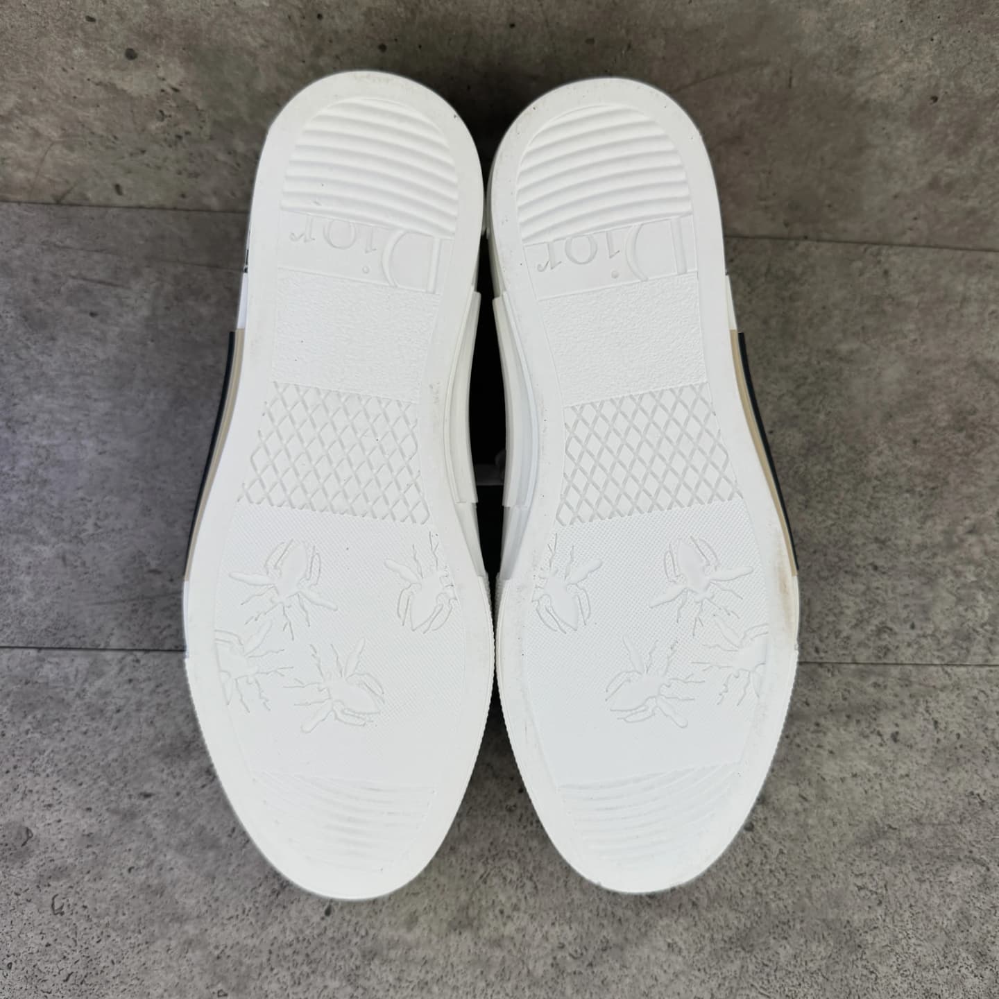 dior-sole after