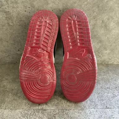 sole-protector after