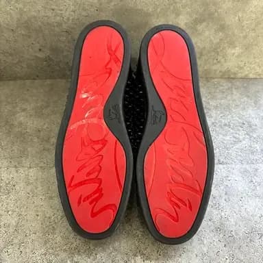 sole-protector before